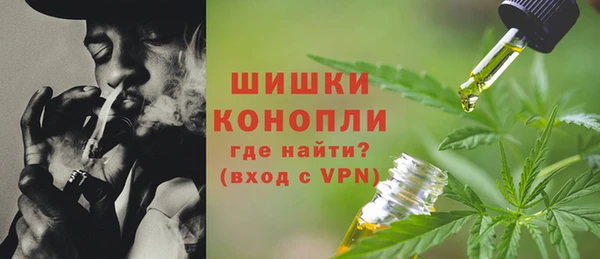 ГАЛЛЮЦИНОГЕННЫЕ ГРИБЫ Заволжск