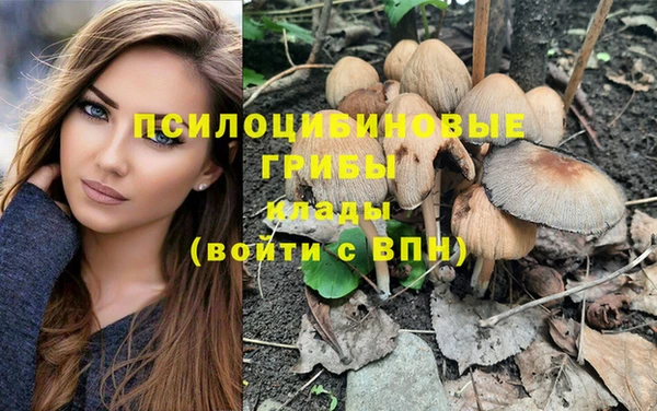 ГАЛЛЮЦИНОГЕННЫЕ ГРИБЫ Заволжск
