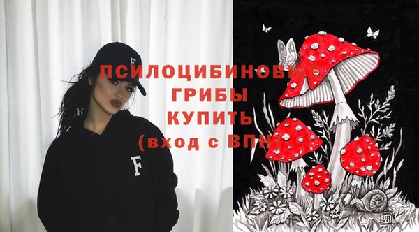 ГАЛЛЮЦИНОГЕННЫЕ ГРИБЫ Заволжск